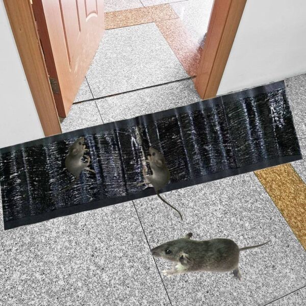 Rat Gum