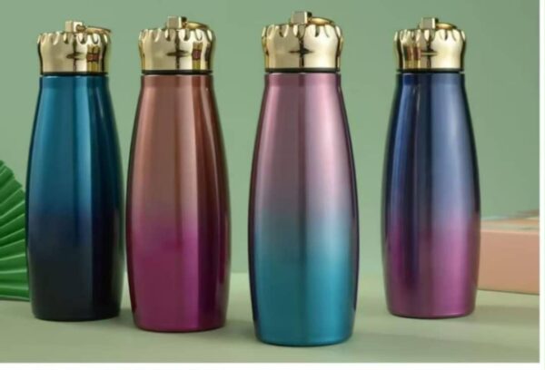 Multi Vacuum Bottle